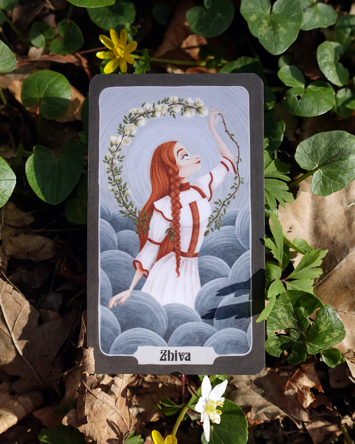 ZHIVA | Collector Card #49