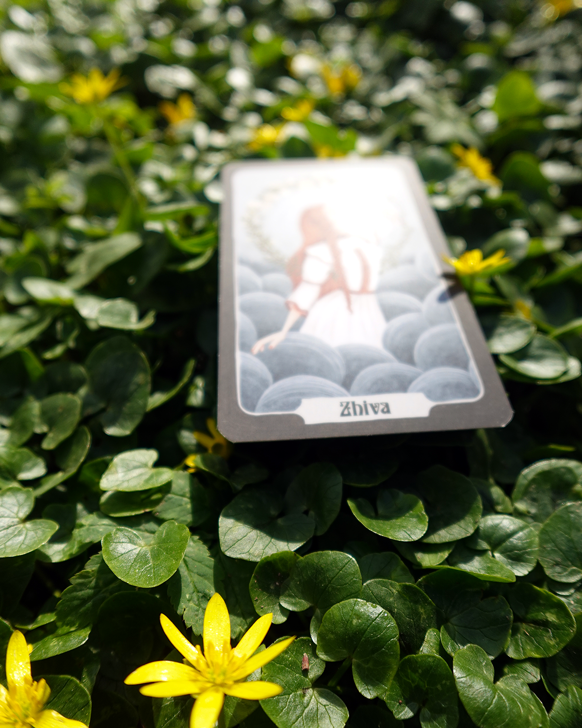 ZHIVA | Collector Card #49
