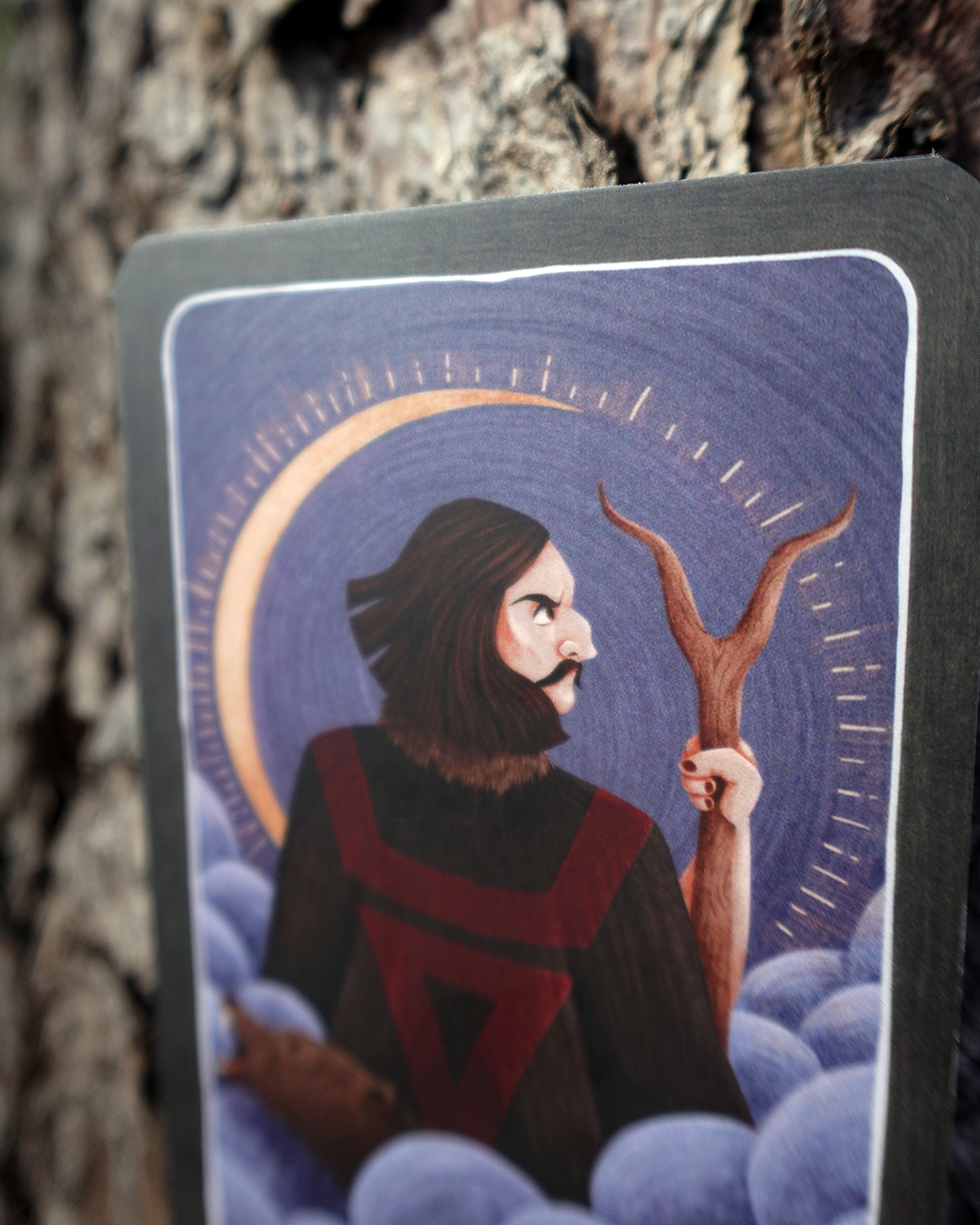 VELES | Collector Card #43